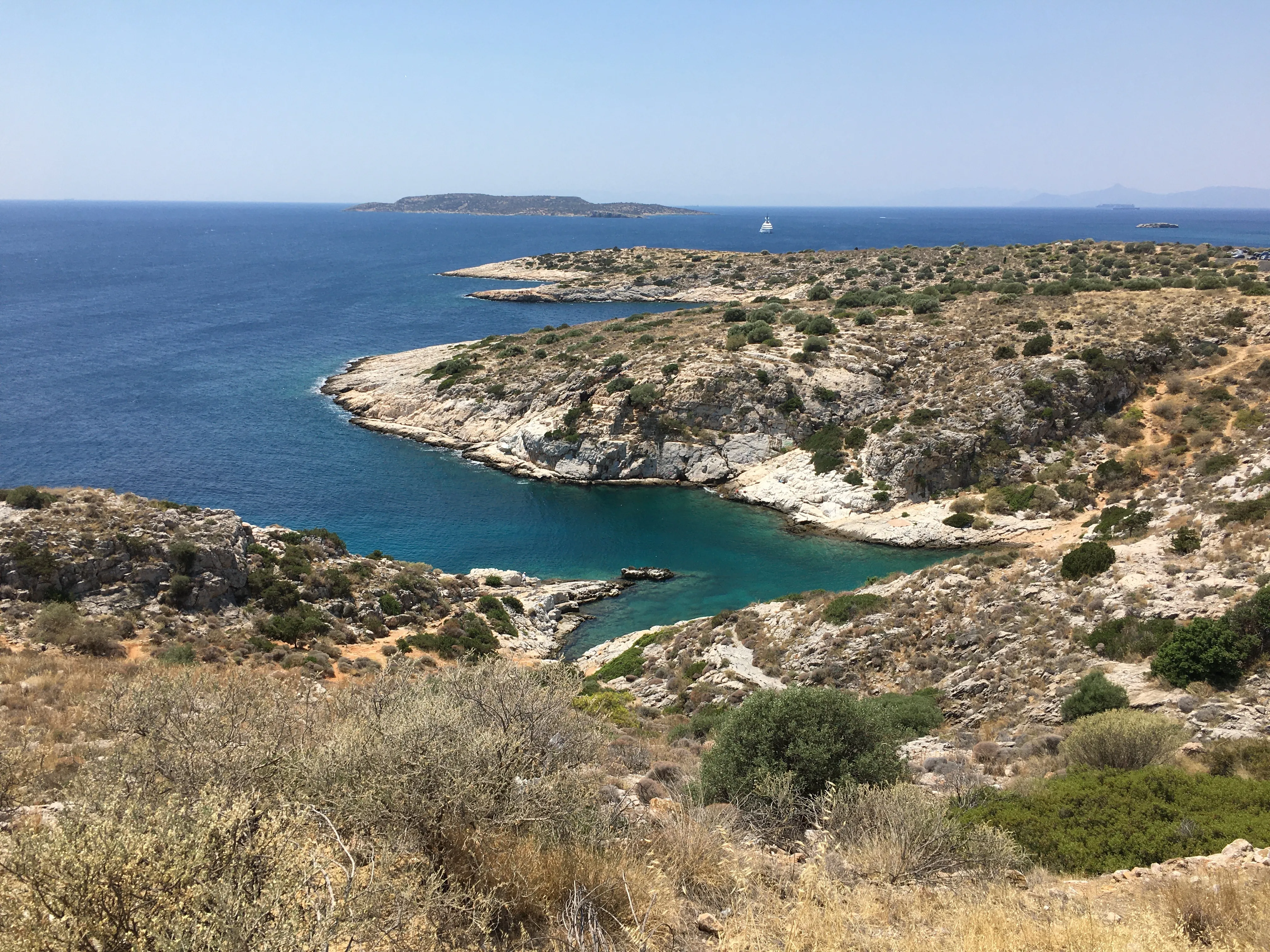 Neptune704 - Content Creator