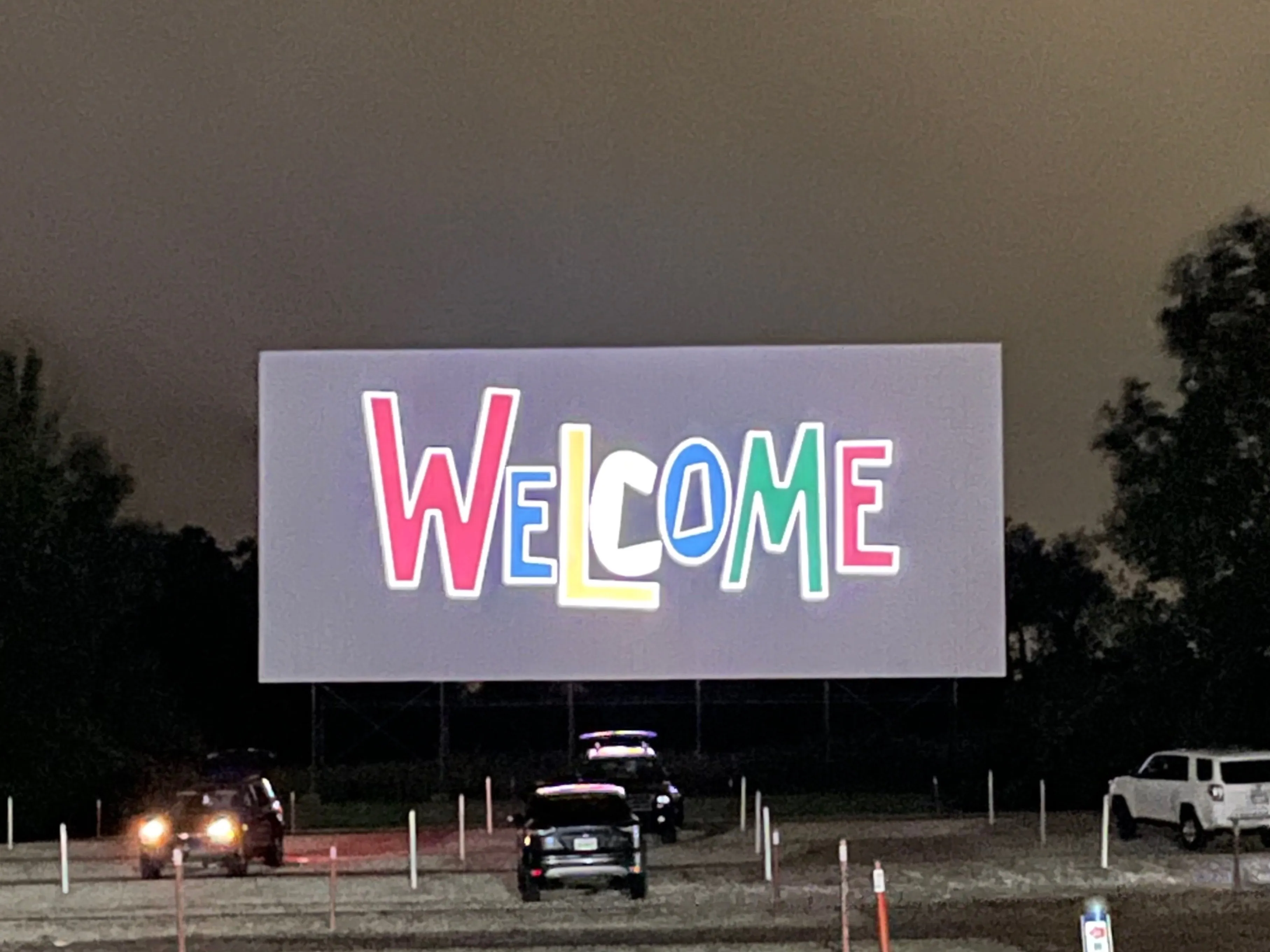 Sophomore Emily - Content Creator