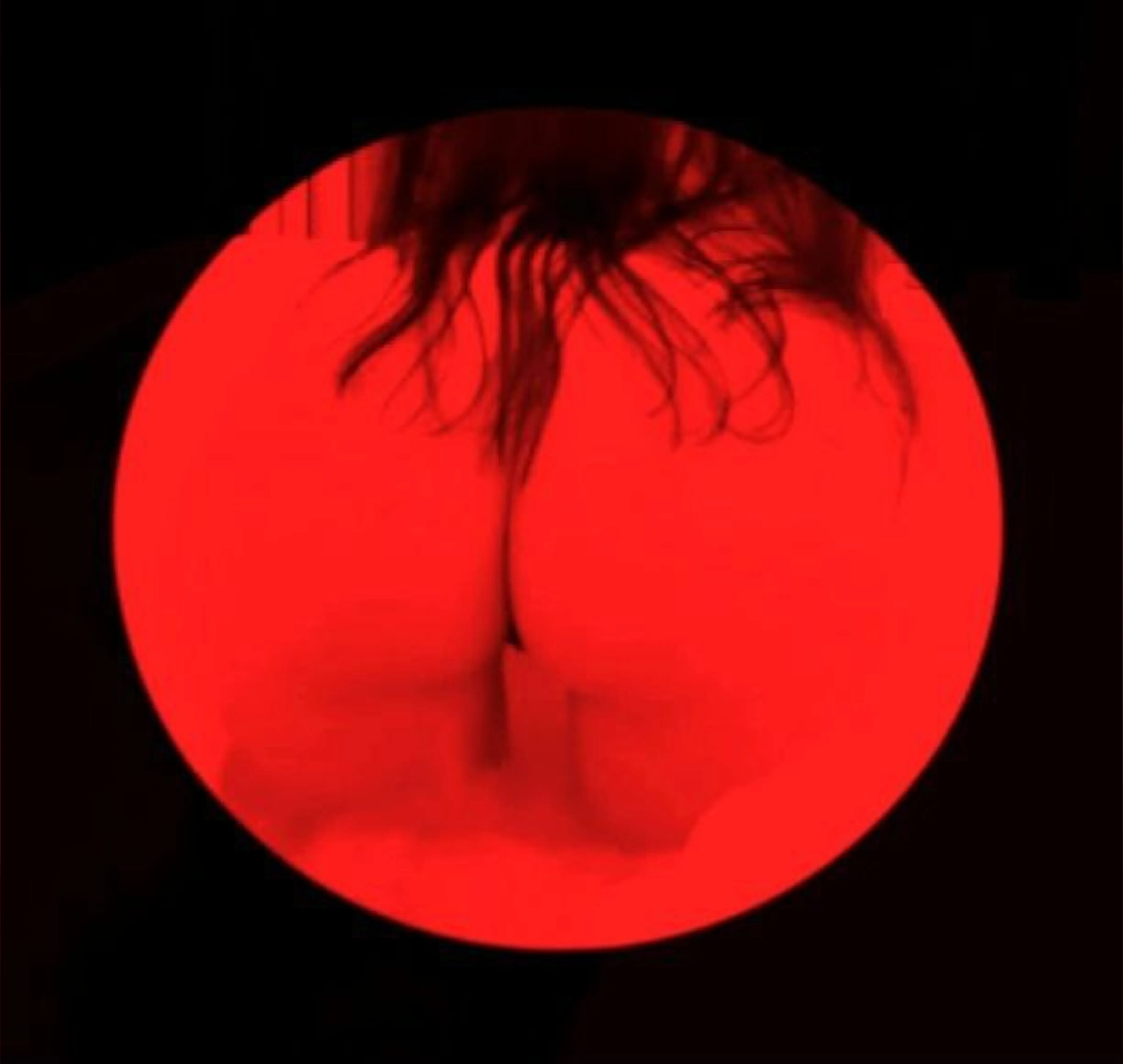 😈An Angel in Hell😈