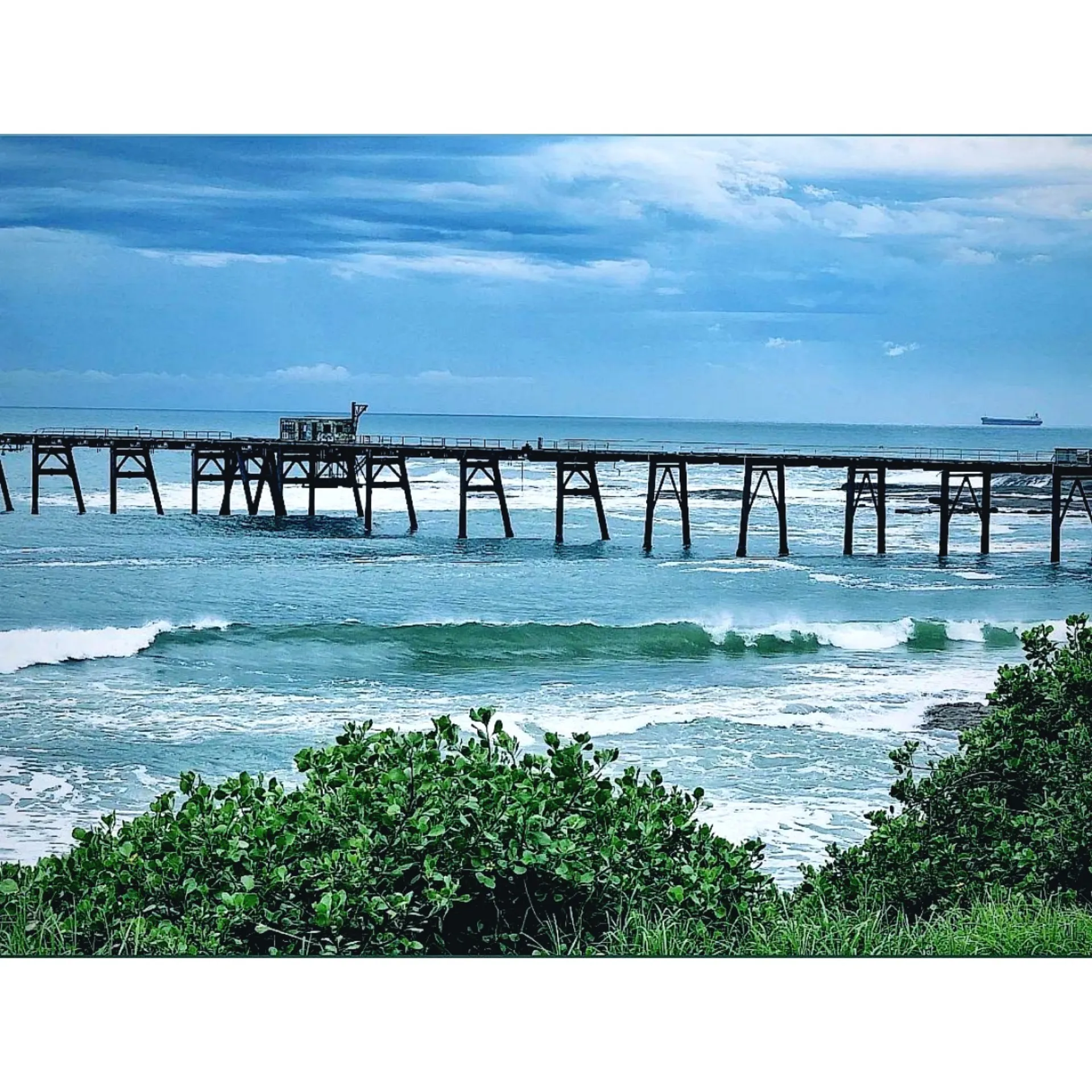 MermaidJenn - Content Creator