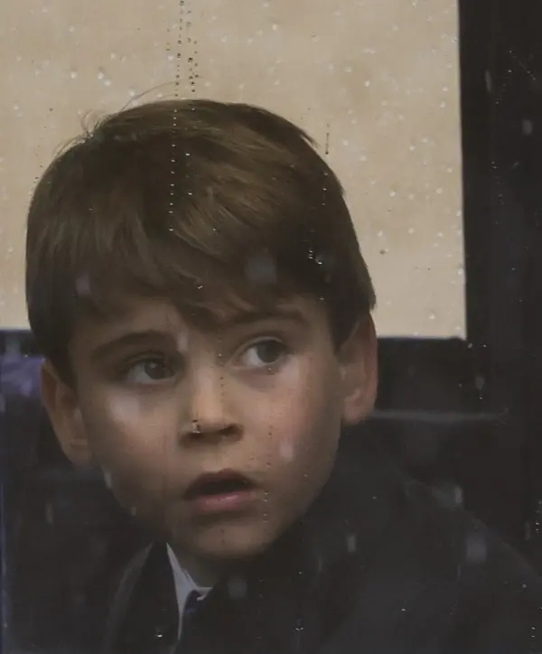 Prince Louis of Cambridge at a public royal event