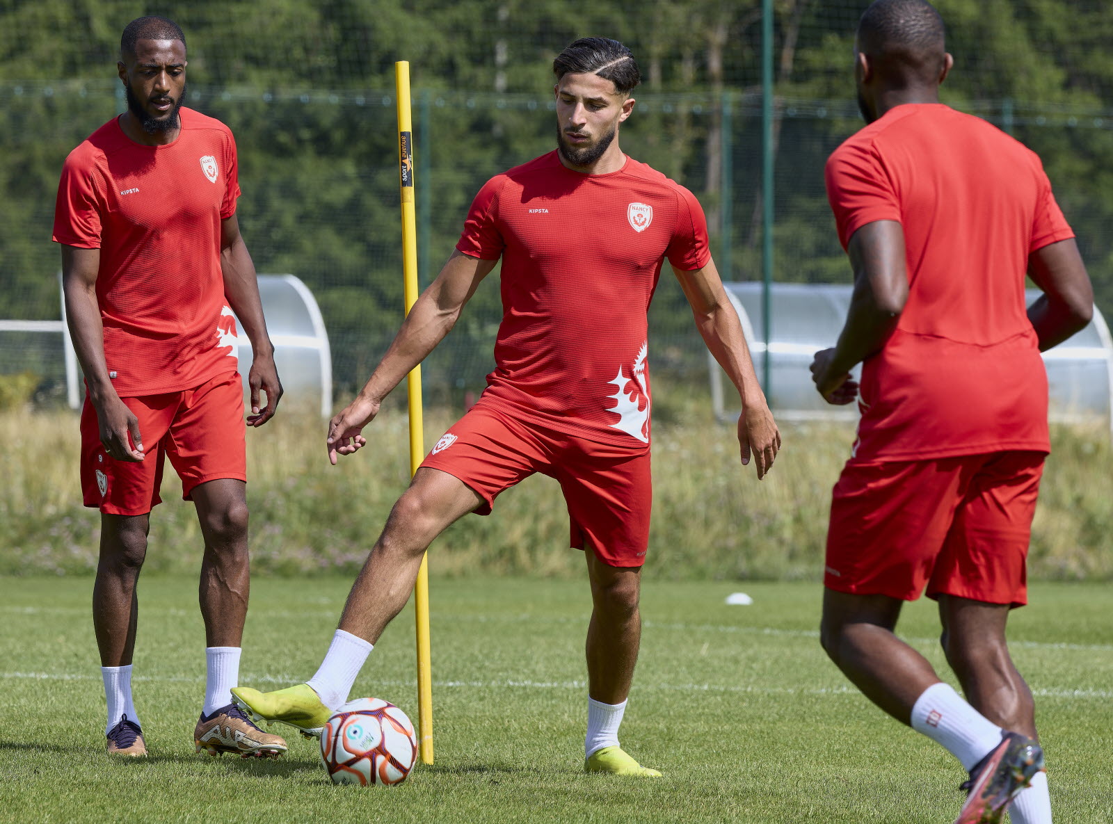 Walid Tayeb