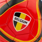 Roy Mauro Belgian football player portrait