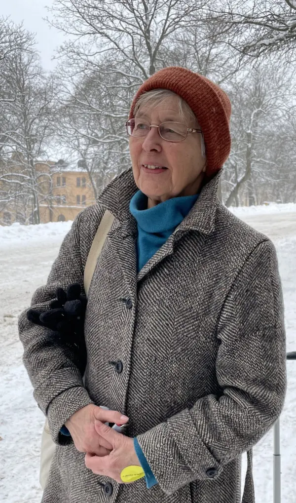 Portrait of Karin Falk, Swedish writer and translator