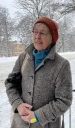 Portrait of Karin Falk, Swedish writer and translator