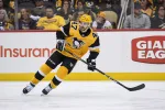 Rouslan Boryssenko playing professional ice hockey