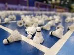 Matthew Carder playing badminton for Scotland