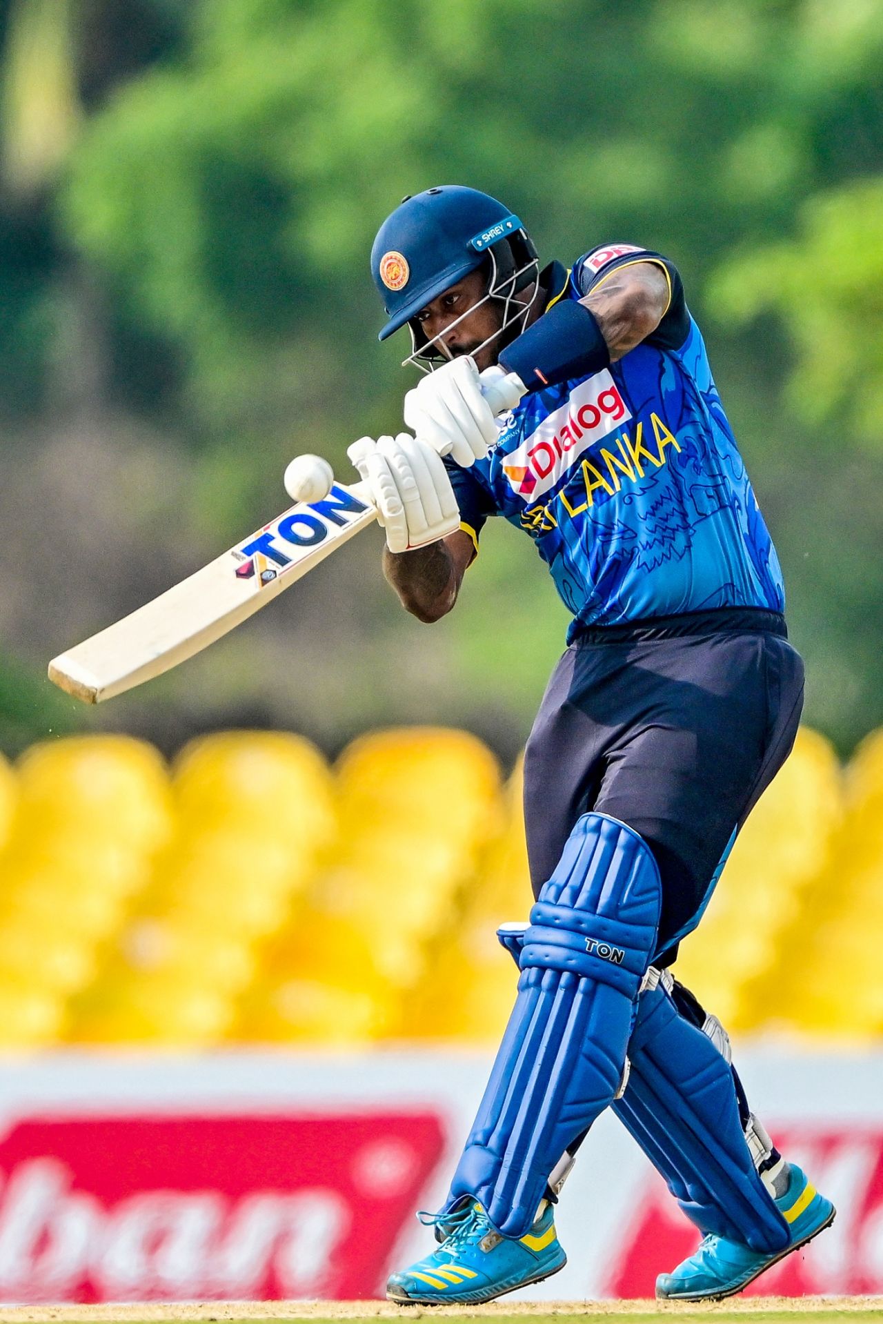 Avishka Fernando